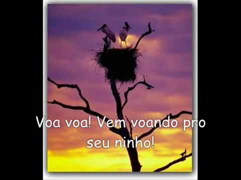 Voa voa - Chiclete com Banana