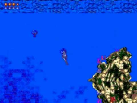 Ecco the Dolphin Master System