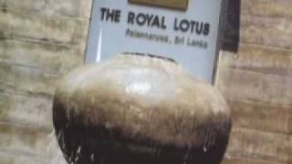 preview picture of video 'The Royal Lotus Hotel, Giritale, Polonnaruwa, Sri Lanka'