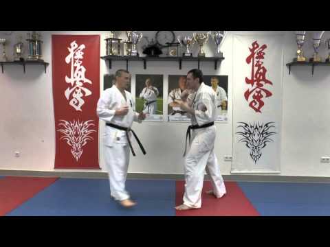 WFKO. Low kick in the clinch - kumite Shihan Alexei Gorokhov. Lesson 8