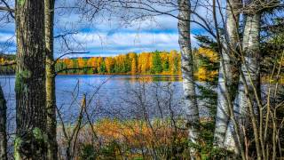 Download lagu Elgar - Wand of Youth, Suite No 1 - Thomson mp3