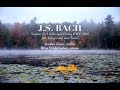 J.S. Bach, Sonata for Violin and Piano, BWV 1016, III. Adagio ma non tanto