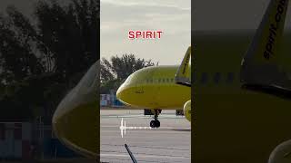 Download lagu Spirit’s Pet Squirrel Takes UNEXPECTED Flight 🐿️ mp3