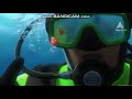 Nemo Lost Finding Nemo