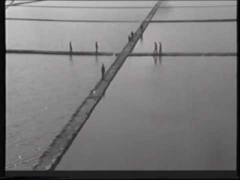 VOKALNI ANSAMBL "PRIJATELJI" - Nocas sam sniva