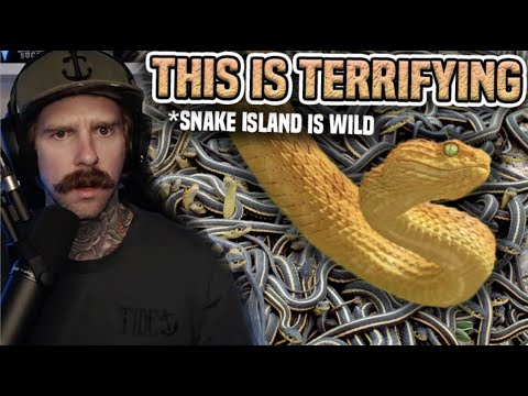 How to Survive Snake Island | RichoPOV Reacts