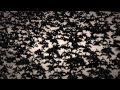 Jo Mango - The Black Sun (Official Video) 