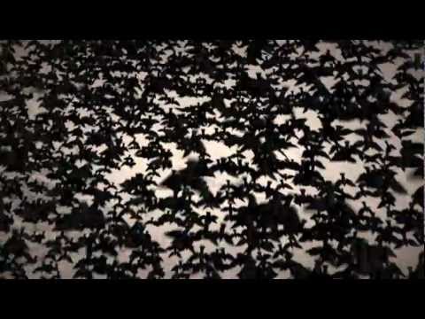Jo Mango - The Black Sun (Official Video)