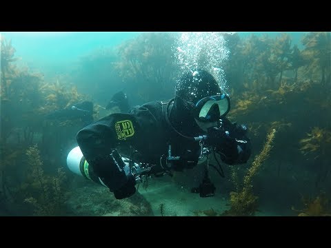 Sidemount Diving Skills Training