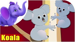 Animal Songs for kids | Koala Song