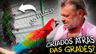 Miniatura do vídeo
