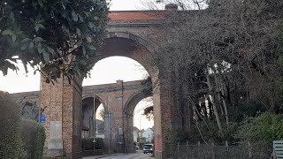 The Deceivers are getting Sloppy...🏛👁