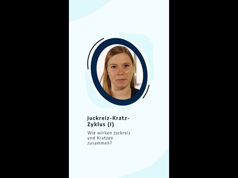 Itch-Scratch Cycle (I)