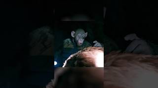 Download lagu Oh No Meme | Planet of the Apes Meme mp3 Download lagu Oh No Meme | Planet of the Apes Meme mp3