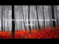 Ed Sheeran - Hand of Gold {full song}  new 2017 lyrics