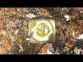 Logo Animation 5 Sercleydesign Autumn Leaves Logo Reveal