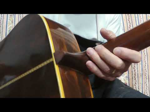 1976 Takamine Elite TW100 Jacaranda Body Natural+Vintage Hard Case image 26
