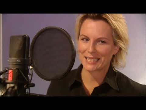 Meet The Cast of Shrek 2