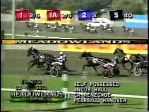 Hambletonian 1999 -Self Possessed