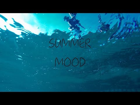 Ned Ft. Skinny Dogg - Summer Mood (Street Video)