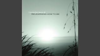 Fantastic Distraction