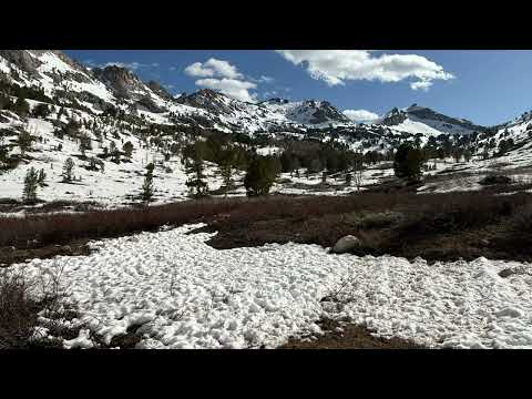 “The Quiet Ones”