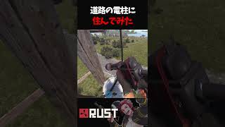 全然バレない！？電柱に住んでみた結果【RUST】