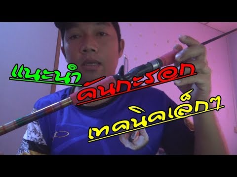 กระเจี๊ยวขนาดใหญ่ในหีเล็ก ๆ น้อย ๆ ซึ่งช่วยเพิ่มความแข็งแรงของหญ้า