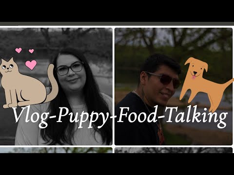 Spend The Day With Us! (food-puppy-vlog)