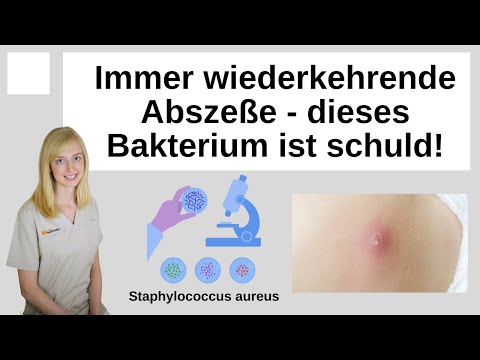 PVL staphylococci: Abscesses recur: This bacterium is usually to blame.