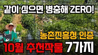 10월에 심는 작물 7가지 | 같이 심으면 해충없이 쑥쑥 자라요!