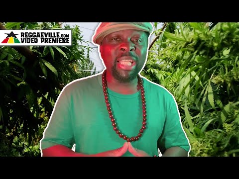Denham Smith & K-Jah Sound - Herb [Official Video 2023]