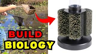 You Have Been LIED TO About Aquarium Health!
