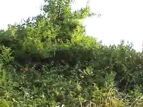 The Last Stand- Stormtrooper Fan Film