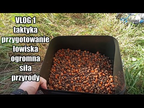 VLOG1 Przygotowanie łowiska, taktyka nęcenia i weryfikacja planów przez przyrodę !!!