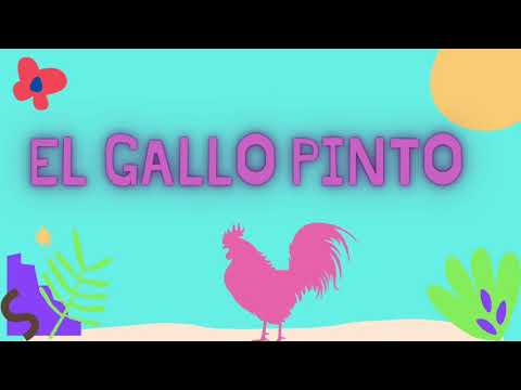 EL GALLO PINTO 🐓  Canción Infantil