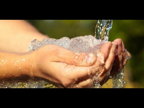 A mund të falim shumë namaze me një abdes? - Dr. Imam Ahmed Kalaja