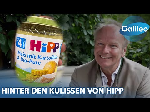 "I stand by this with my name": How did Hipp's success story begin?