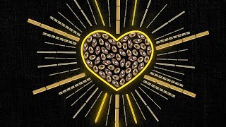 Eu Amo Brilhar Lyrics English Translation