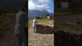 Download lagu उटा तौ mp3