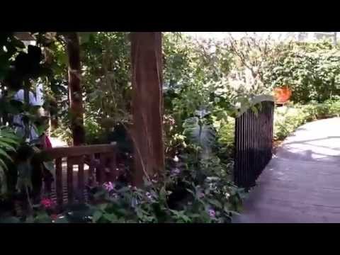 Fairchild Tropical Botanic Garden Tropical Butterfly Exhibit Part 2