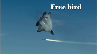 Cover art for when free birb kicks in #2