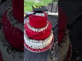 Cutest Graduation Cake 2023 Congratulations Graduation Lockwood