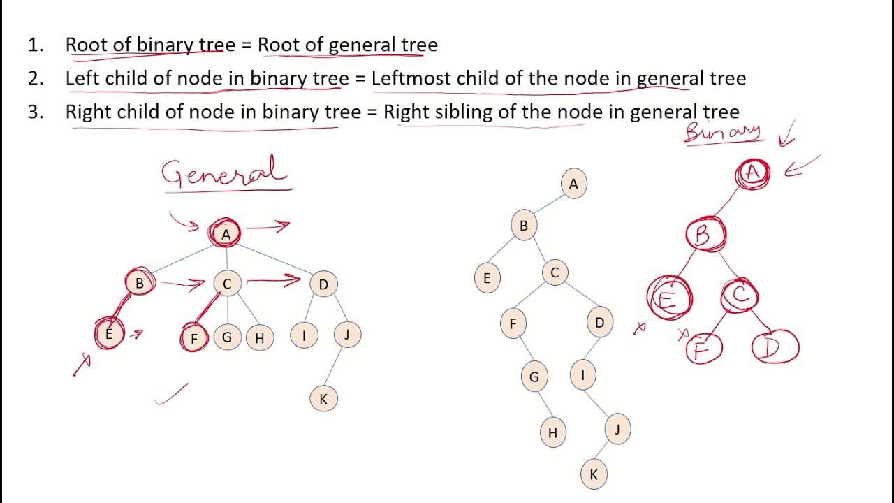 DSA23c - Convert general tree to binary tree