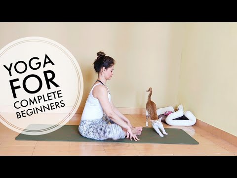 Yoga for Complete Beginners l Full body Stretch l Archie's Yoga
