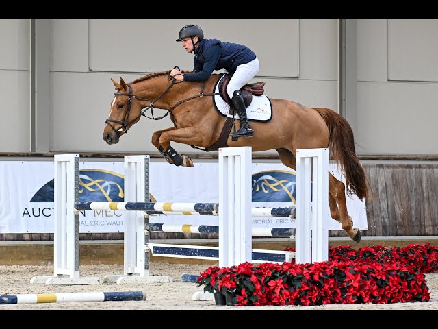 Emidor Hdm Z - Ridden