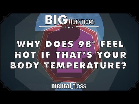 Why does 98 degrees feel hot if that's your body temperature?  - Big Questions - (Ep. 32)