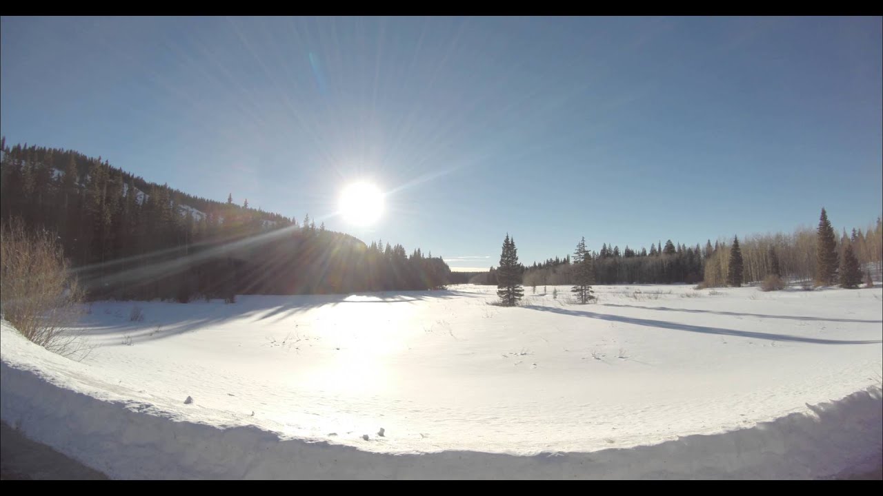 Video: Grand Mesa National Forest - 012114 - Shot14 - 4K test