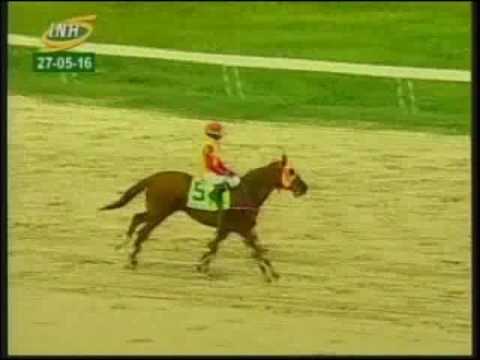 Resumen Viernes, 27 de Mayo de 2016 - Valencia