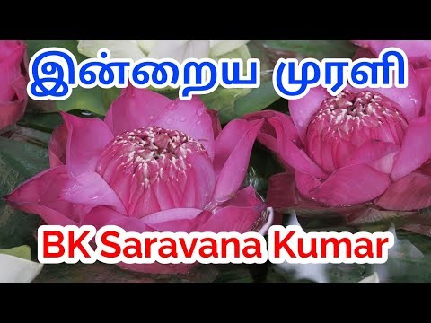 Tamil Murli 12 March 2019 - BK Saravana Kumar